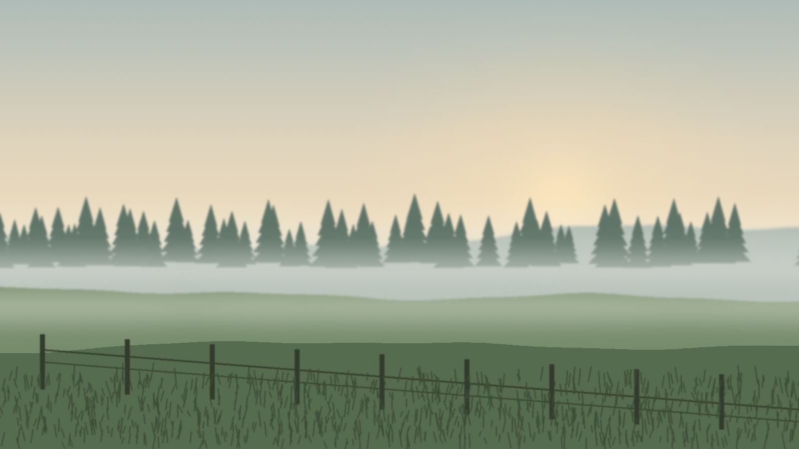 Misty meadow at sunrise with a line of spruce trees and an old wooden fence