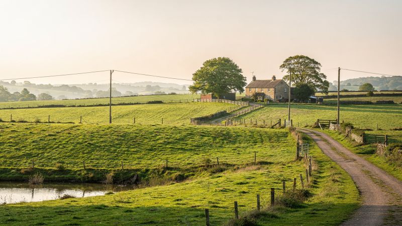 Rural Land Due Diligence: Zoning, Water, Access, and Utilities